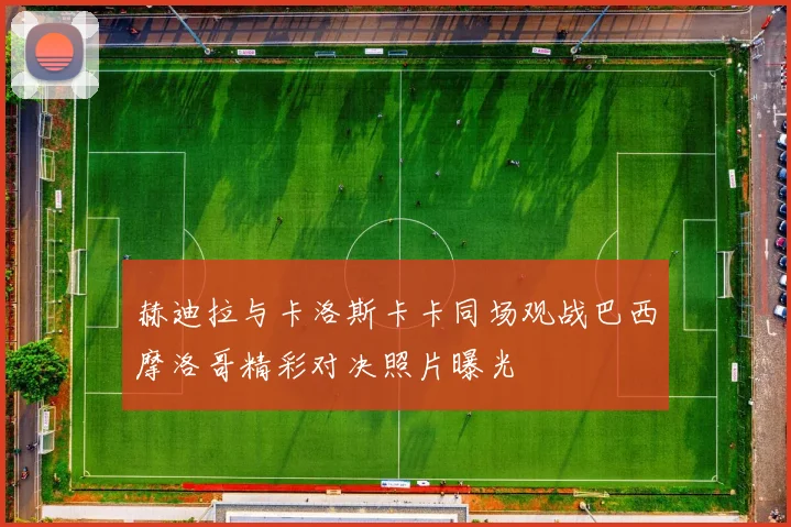 赫迪拉与卡洛斯卡卡同场观战巴西摩洛哥精彩对决照片曝光